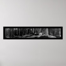 Big Tree Grove Mariposa Photo 1906 Posters