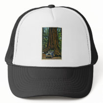 Big Tree Wawona, Mariposa Grove, CA Mesh Hat