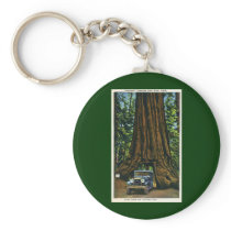 Big Tree Wawona, Mariposa Grove, CA Key Chain
