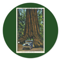 Big Tree Wawona, Mariposa Grove, CA Stickers