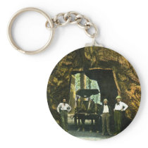 Big Tree Wawona, Mariposa Grove, CA Vintage Key Chain
