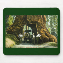 Big Tree Wawona, Mariposa Grove, CA Vintage Mouse Pads