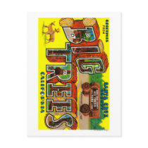 Big Trees, California - Large Letter Scenes Postcard