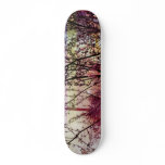 big treez skate board decks