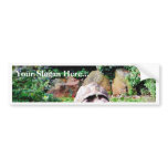 Big Turtle bumper stickers