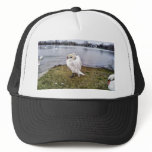 Big White Swan Stretching Wings Hat