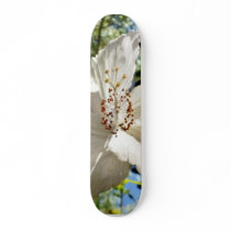 Big White Tree Flower Skateboards