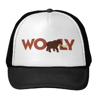 big woolly hat