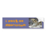 Big Yawn bumper stickers