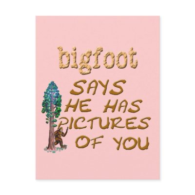 Bigfoot Has Pictures by buffaloworks