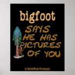 Bigfoot Has Pictures