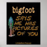 Bigfoot Has Pictures