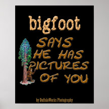 Bigfoot Has Pictures Posters