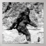 Bigfoot Poster