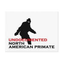 BIGFOOT: UNDOCUMENTED NORTH AMERICAN PRIMATE POSTCARD