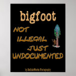 Bigfoot Undocumented Print