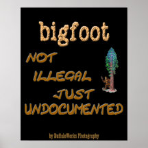 Bigfoot Undocumented Print