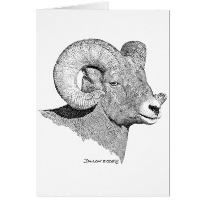 Bighorn Sheep Greeting Card by WildlifeInk