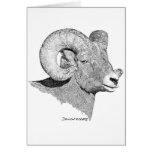 Bighorn Sheep cards