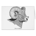 Bighorn Sheep Greeting Cards