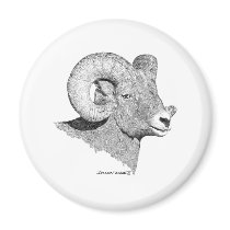 Bighorn Sheep Fridge Magnets