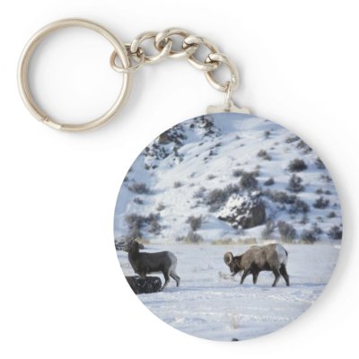 Bighorn sheep (Mating behaviour) Keychain by lolanimals