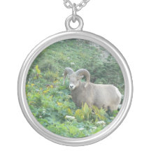 Bighorn sheep necklace