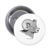 Bighorn Sheep Pinback Buttons