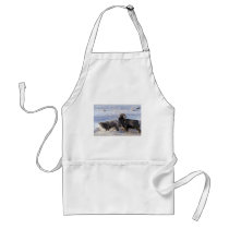 Bighorn sheep (Ram and Ewe show mating behaviour) Aprons