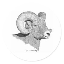 Bighorn Sheep Round Sticker