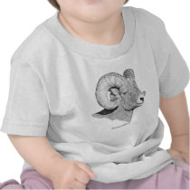 Bighorn Sheep T-shirts