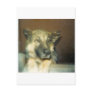 BigMean Postcards