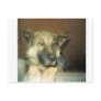 BigMean Post Card