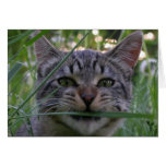 Bijou Grass Greeting Card