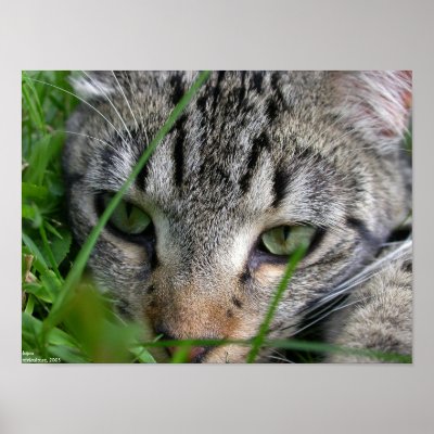 bijou poster by viviculture