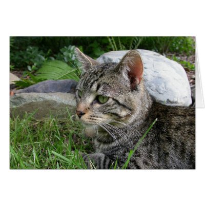 Bijou Stone Greeting Card by viviculture