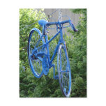 Bike Hanging Above the Street