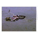 Bike In Pond Cards