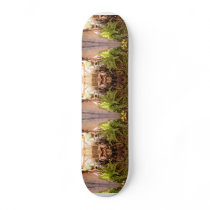 Bike Lane in the Light Skate Decks