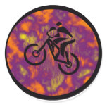 Bike Past Future Sticker