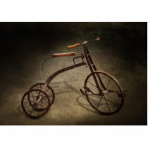 Bike - The Tricycle