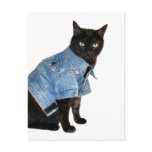 biker kitty postcards