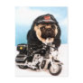 Biker Pug Dog Post Cards