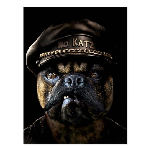 Biker Pug Post Cards