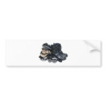 BikerLeather033109 Bumper Stickers