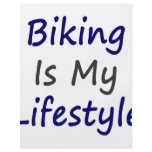 Biking Is My Lifestyle flyers