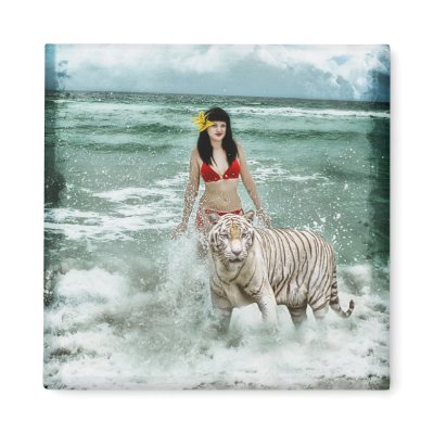 bikini and the beast magnet by BlueLotusArt