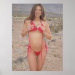 Bikini Desert Hiking posters