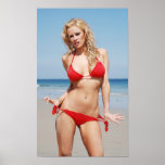 Bikini Poster posters