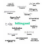 Bilingual t-shirts